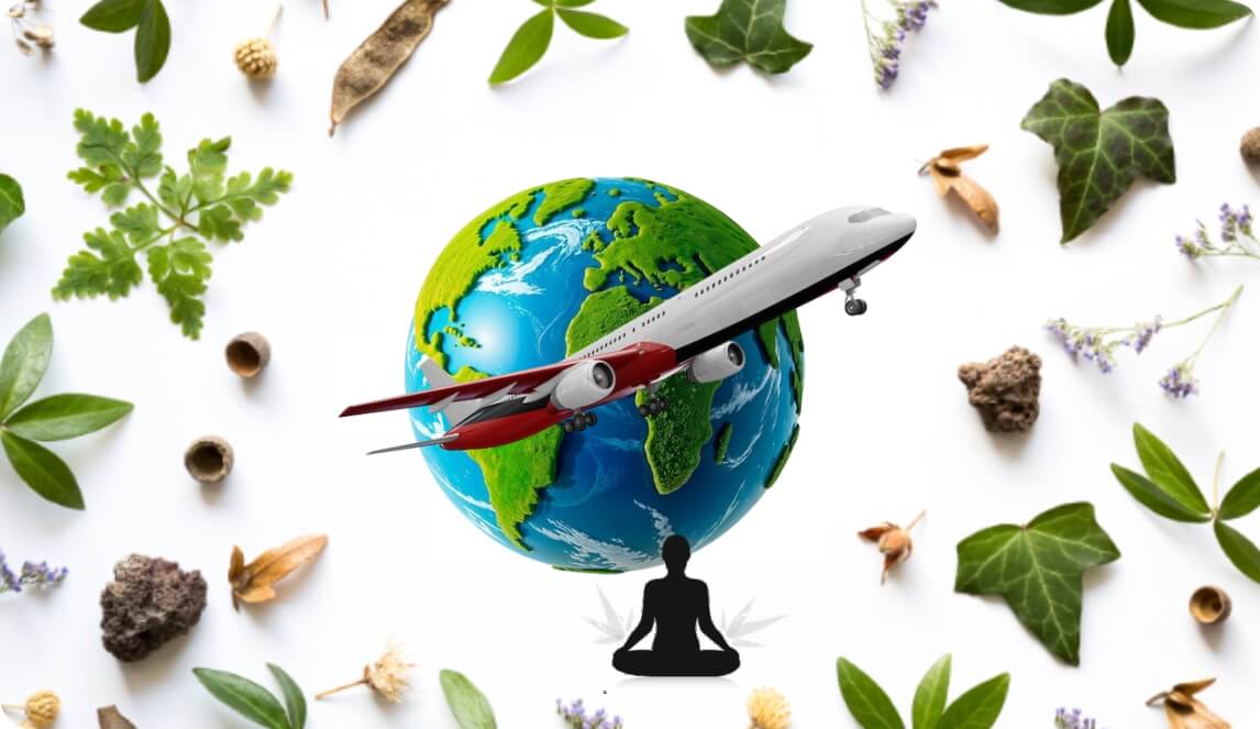 Ayurveda Goes Global: Why Indian Remedies Are Taking Over Wellness Markets