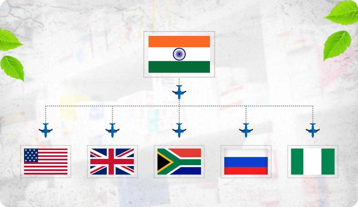 Top Destinations Where People Send Medicines from India—and Why