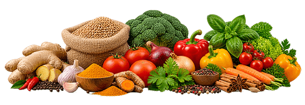Not allowed: atta, liquids, vegetables, fresh fruits